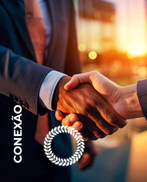 Conteúdos-Conexão